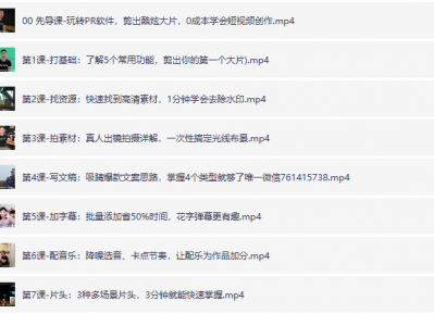 【PR教程】小白速成PR软件实操，教你月入过万