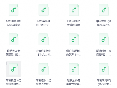 车载音乐｜高品质DJ串烧 300首