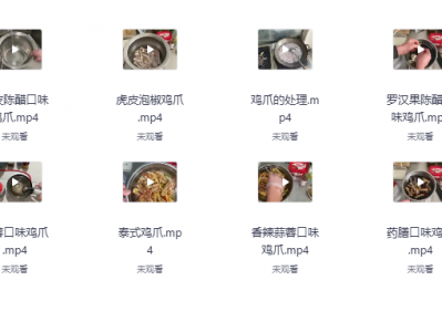 网红17种口味凤爪配方教程