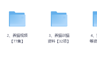 全网最全养猫训猫教程