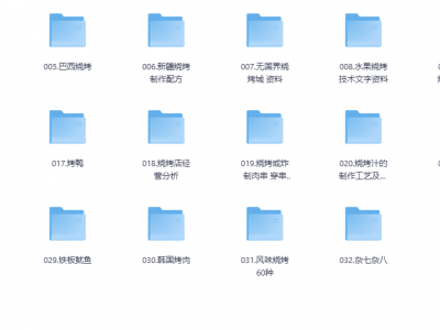 价值2万的烧烤小吃配方合集，整整32套